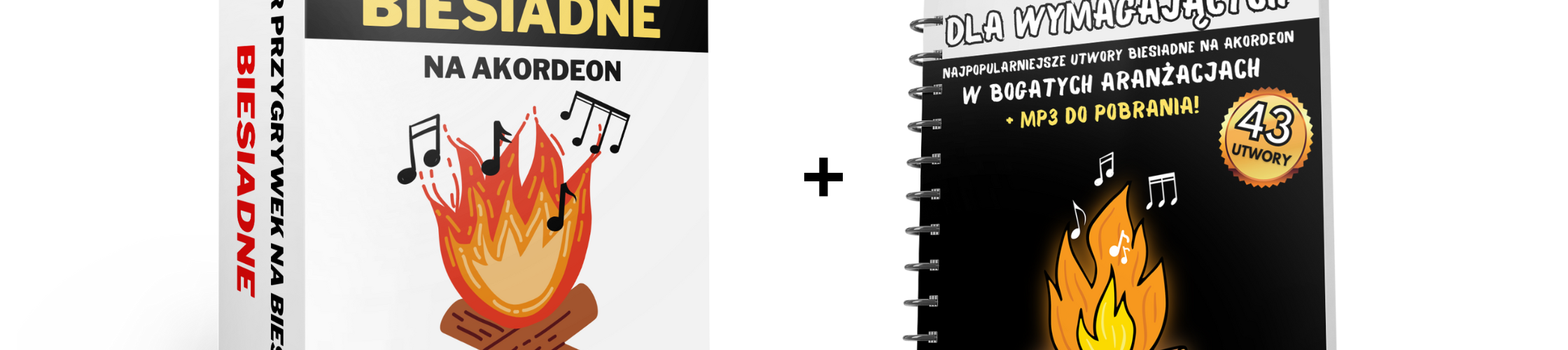 pakiet biesiada na akordeon