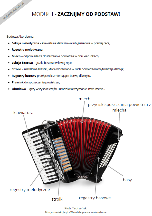 budowa akordeonu