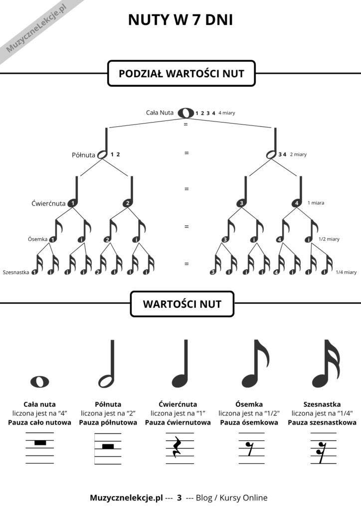 nuty i pauzy w muzyce