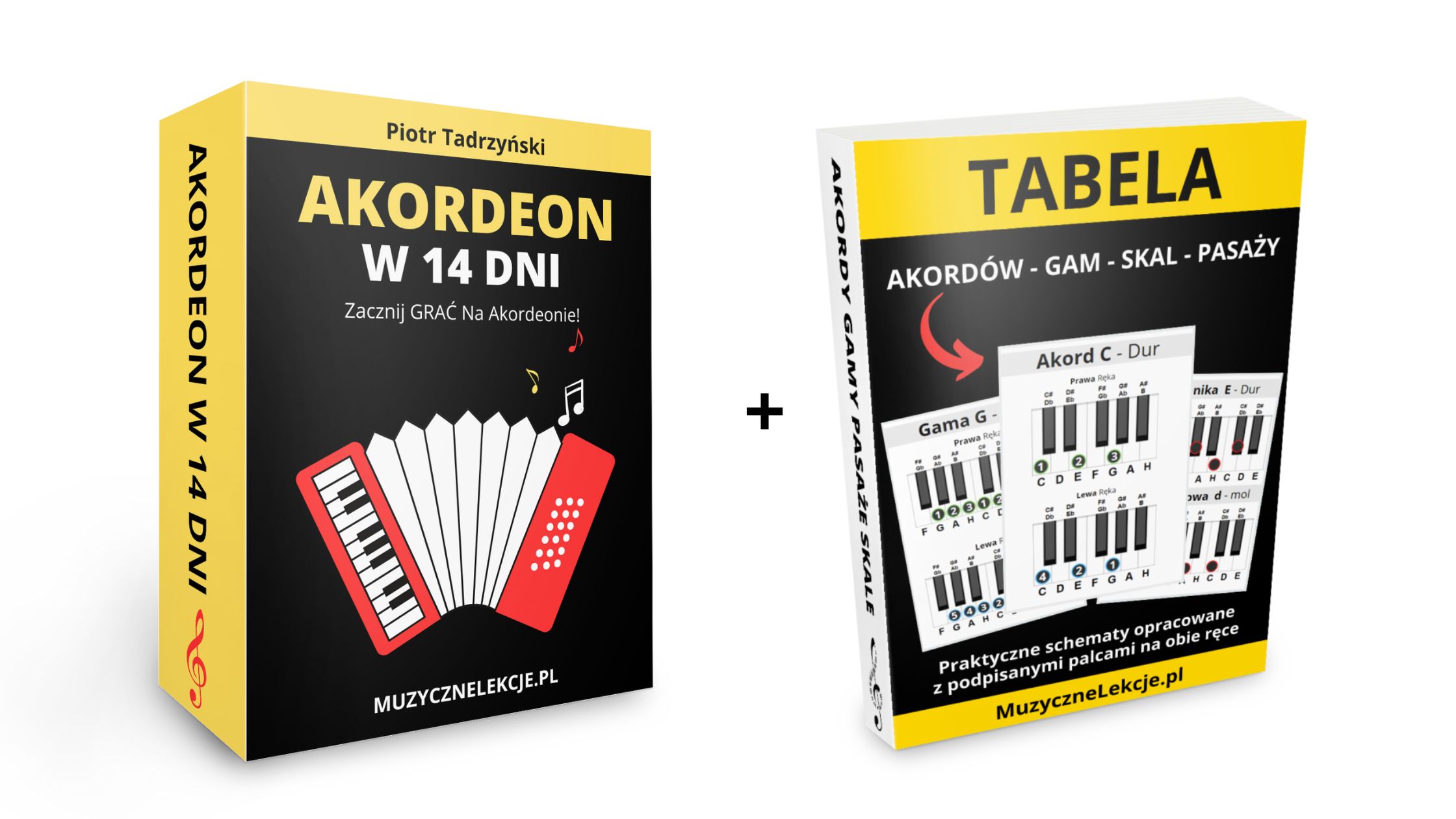 PAKIET – Akordeon w 14 dni + Tabela AGP