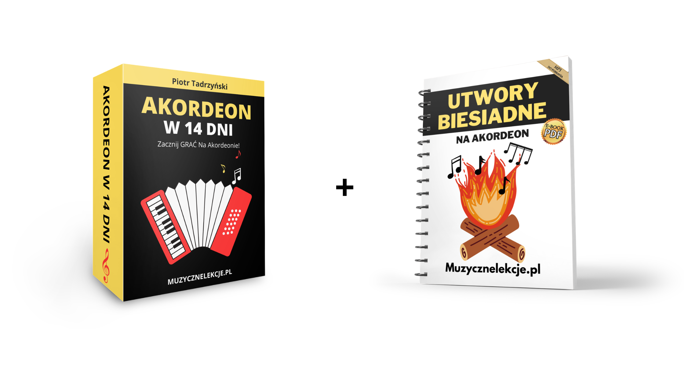 pakiet akordeon w 14 dni + biesiada na akordeon