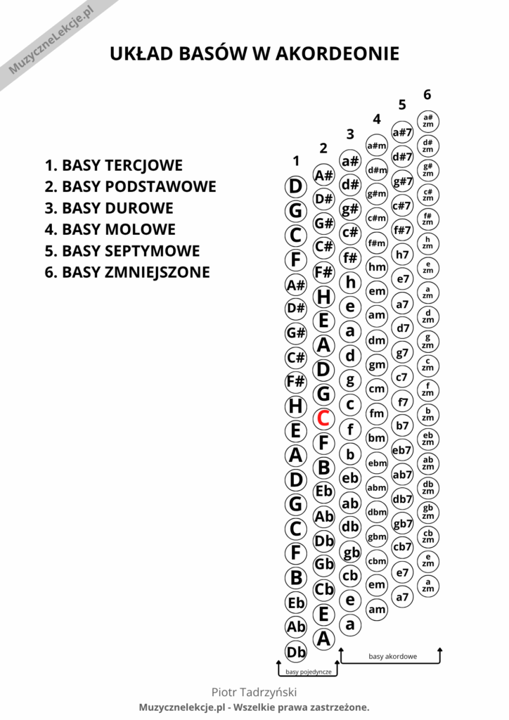 basy w akordeonie układ Stradella diagram